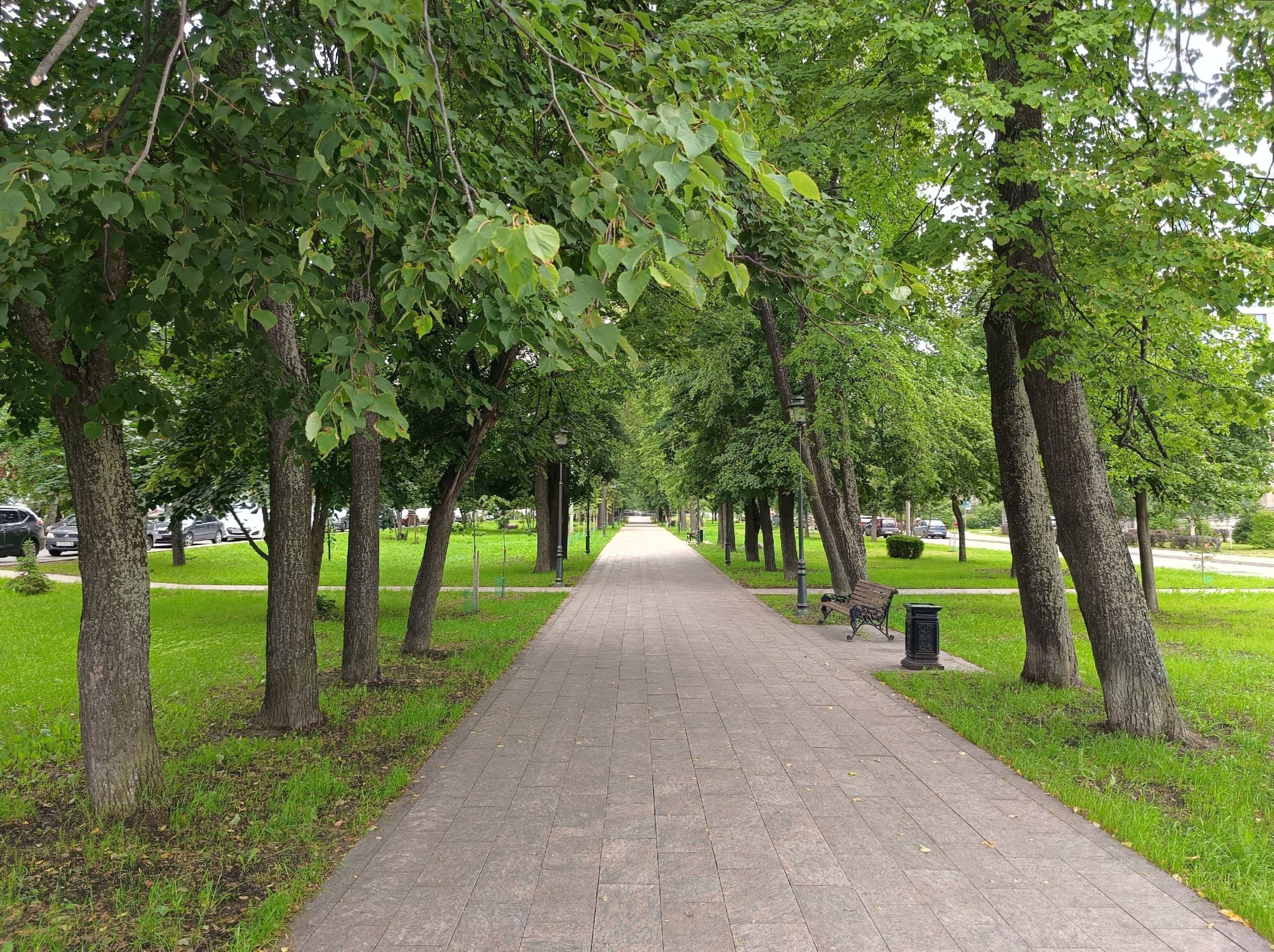 В районе Левашовского бульвара и мэрии Петрозаводска запретят проезд и остановку транспорта