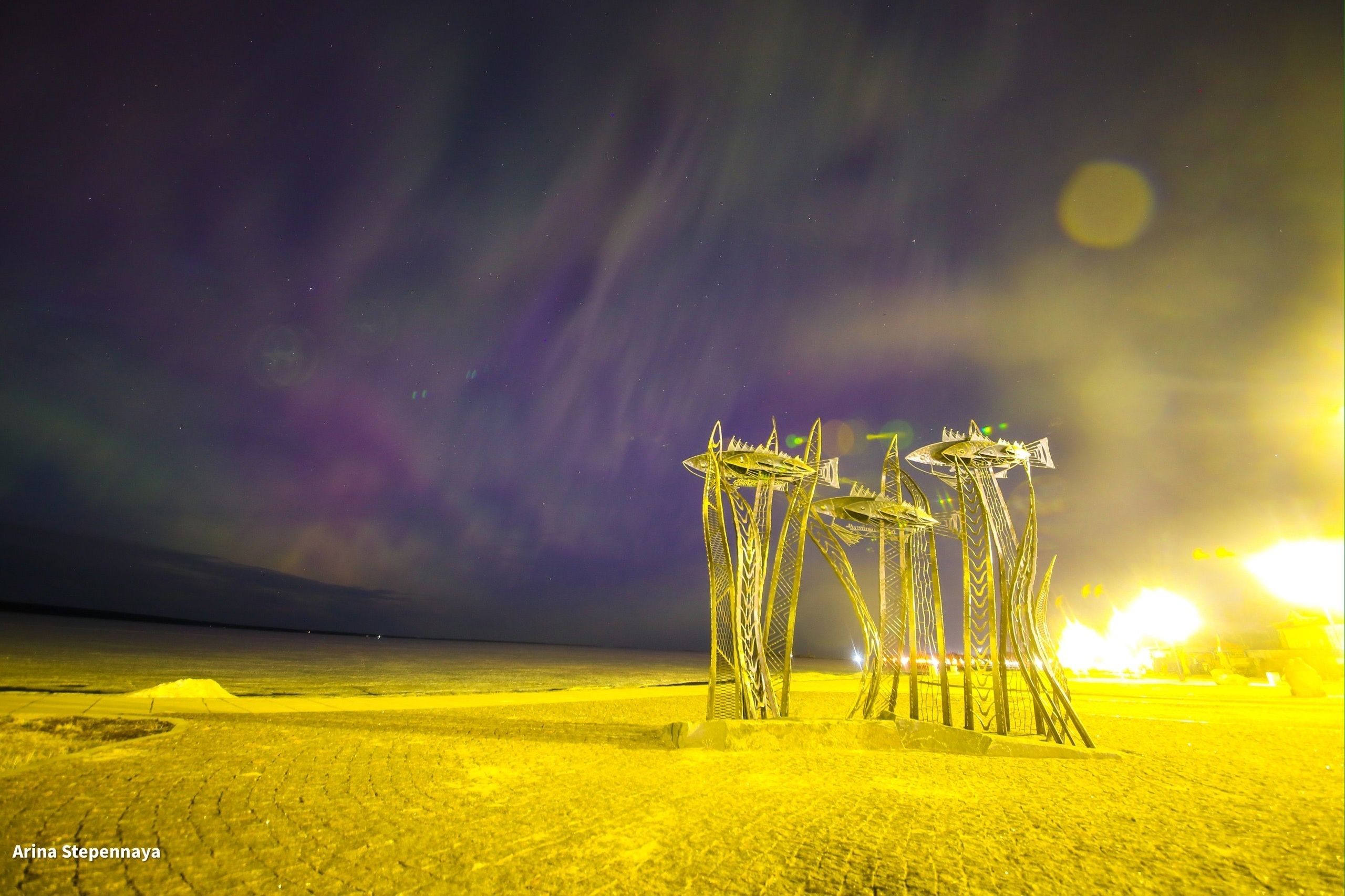 РЖД запустит туристический поезд навстречу «К северному сиянию»