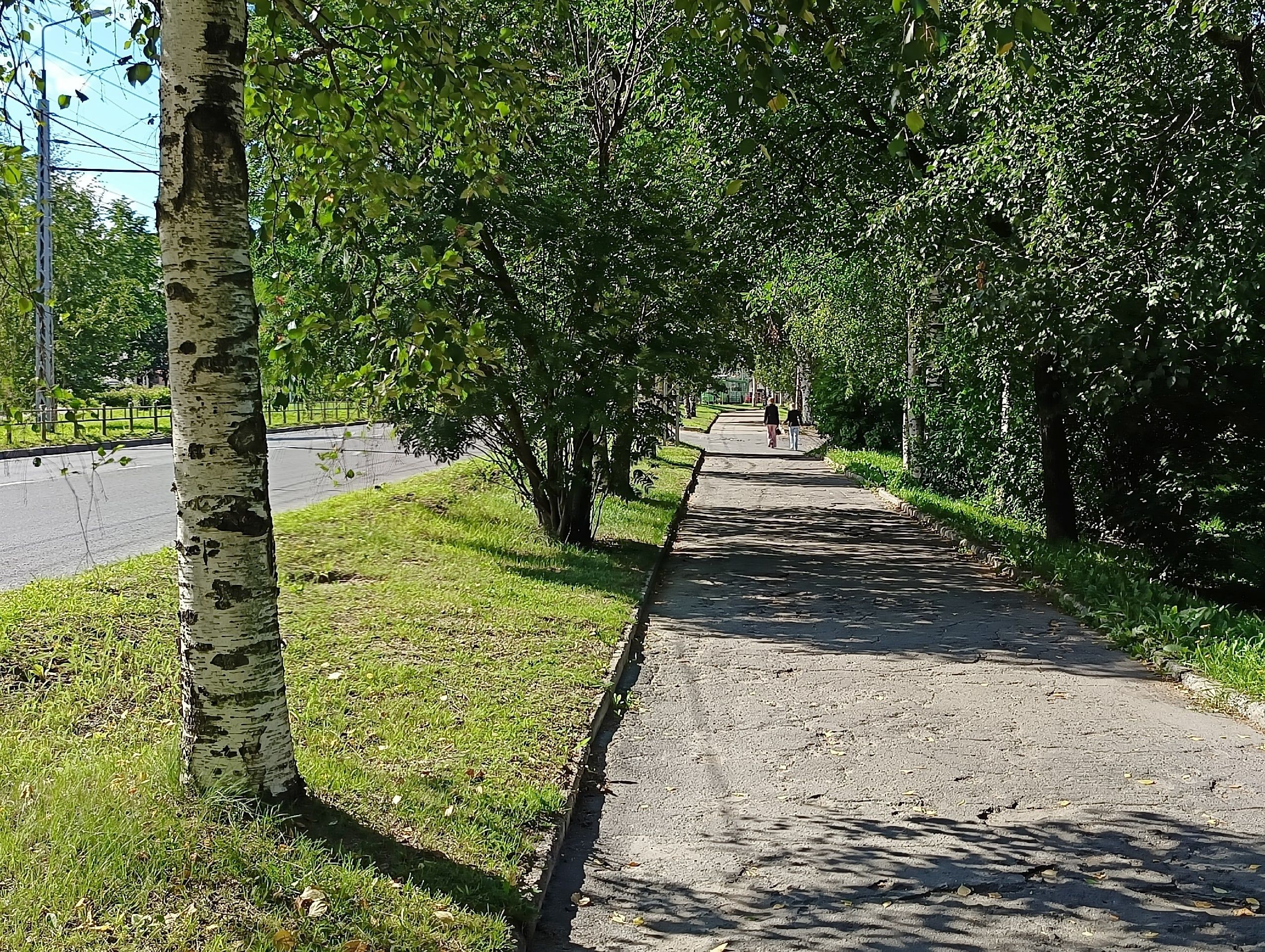 Без существенных осадков. Прогноз погоды в Карелии на 23 августа