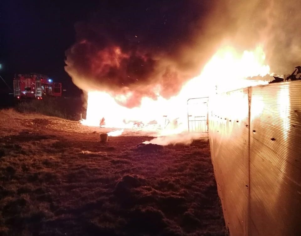 В Беломорском районе произошло возгорание на площади 100 квадратных метров: могла сгореть вся улица