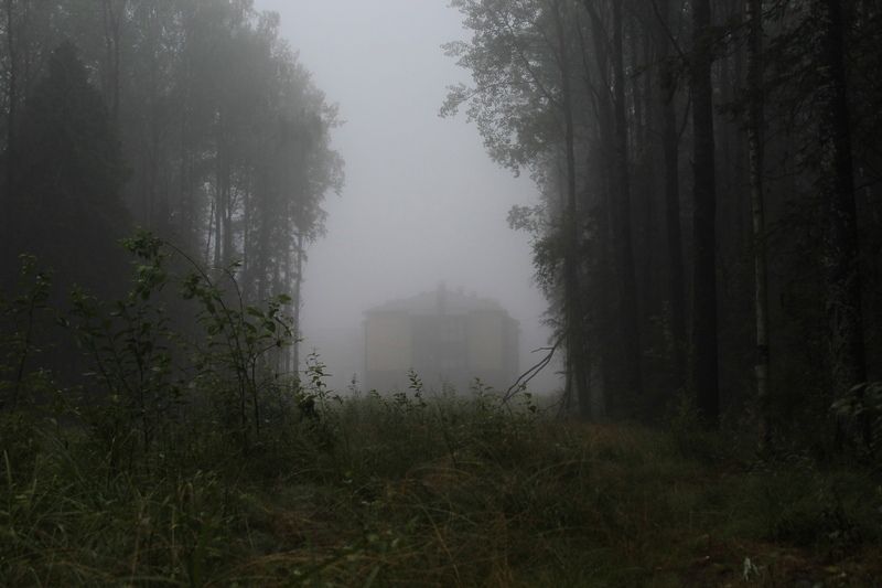 Тело 16-летнего подростка обнаружено в лесу на Древлянке