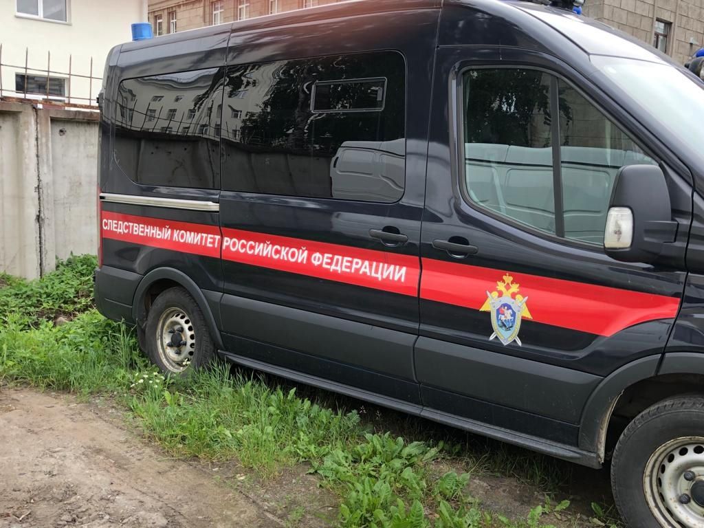 Костомукшскую школьницу обвиняют в хищении денег