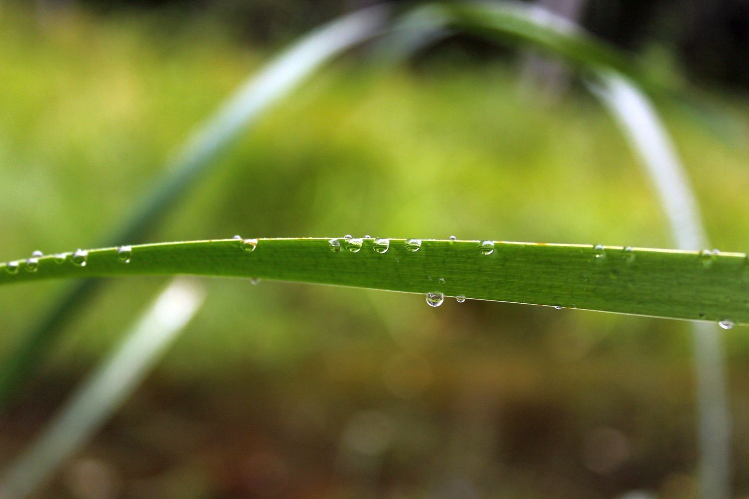 В МЧС Карелии предупредили о приближении ливней