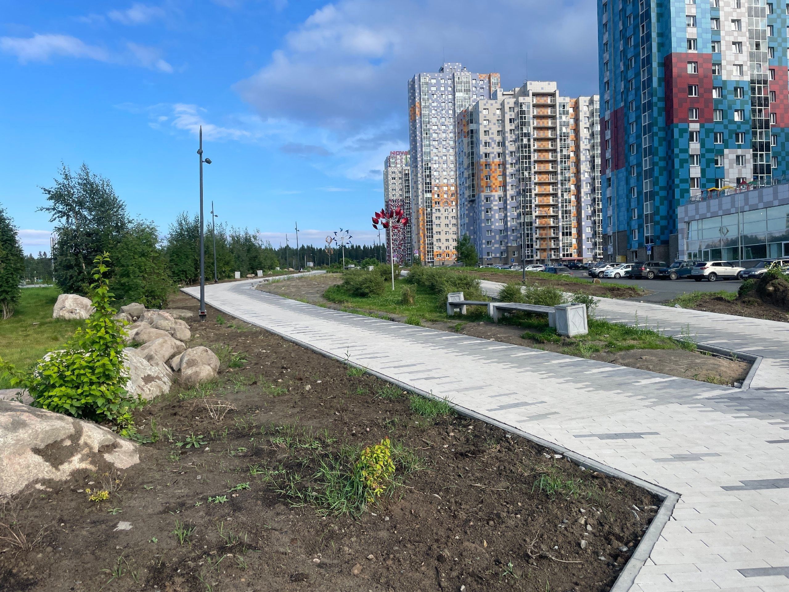 На аллее Энтузиастов высадят 20 горных сосен