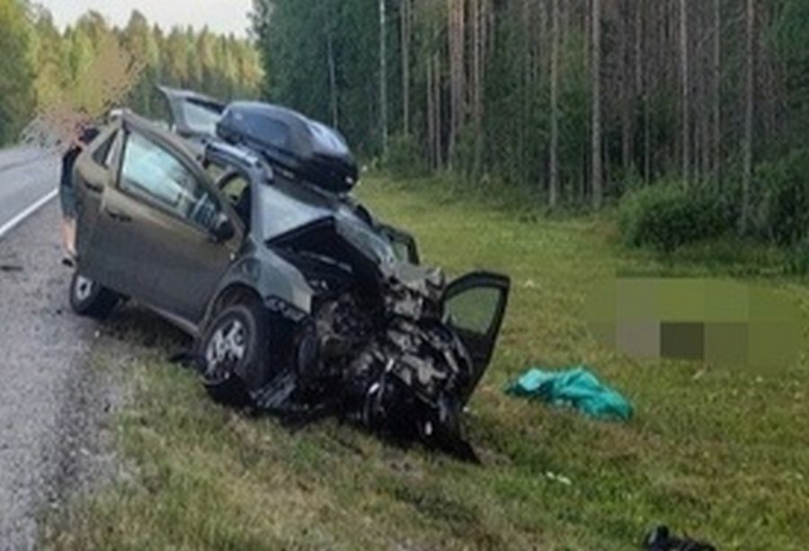 В Карелии водитель мотоцикла разбился насмерть, еще несколько человек госпитализированы