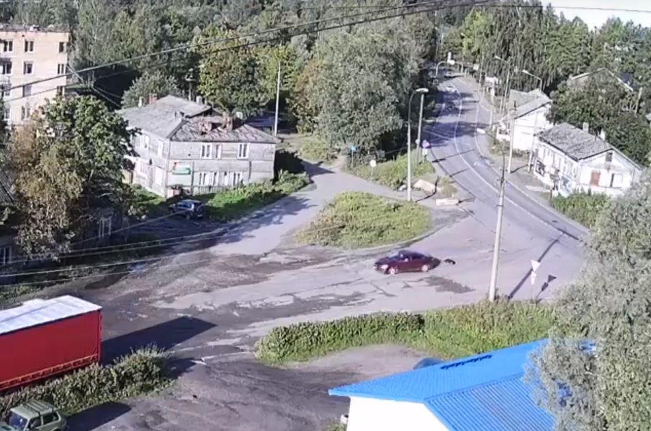 В Лахденпохье водитель иномарки сбил собаку и протащил ее под кузовом