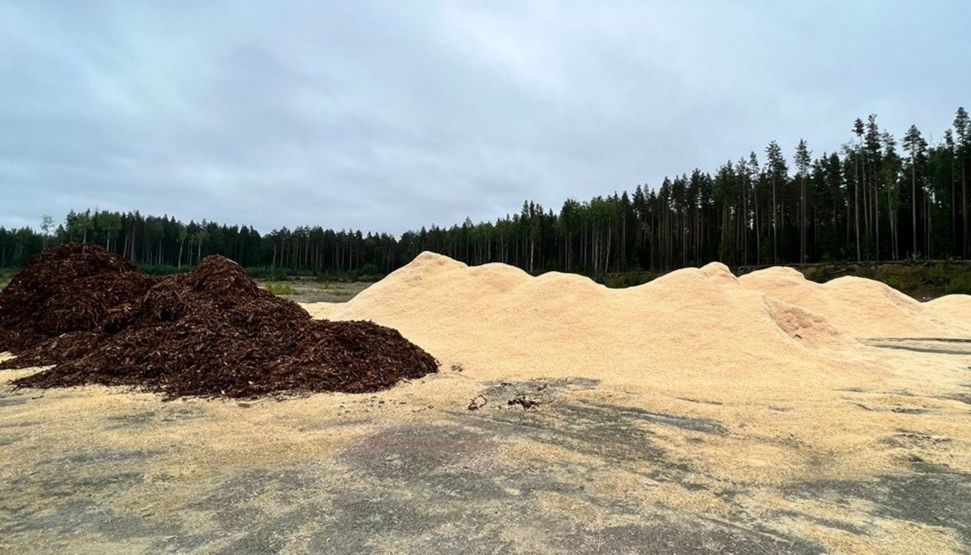 Незаконной свалкой отходов около деревни Половина займется прокуратура