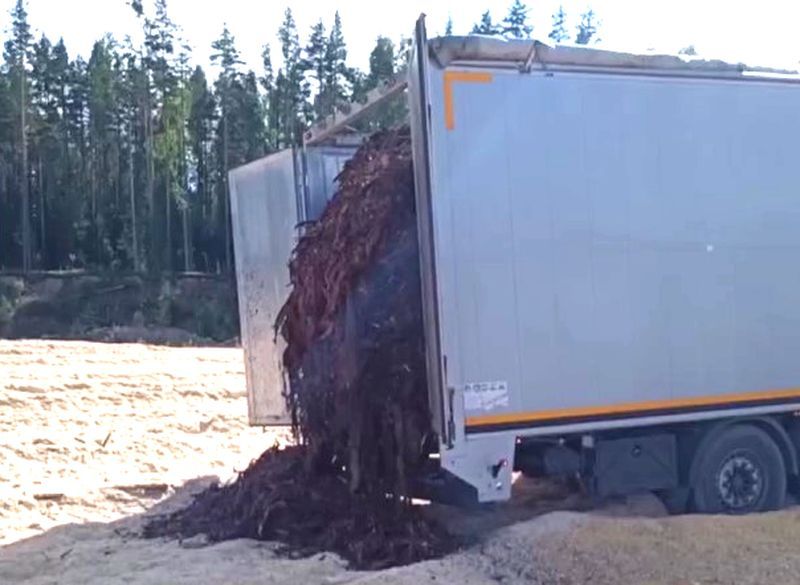 Неизвестные фуры вывозят отходы на карьер около деревни Половина в Карелии