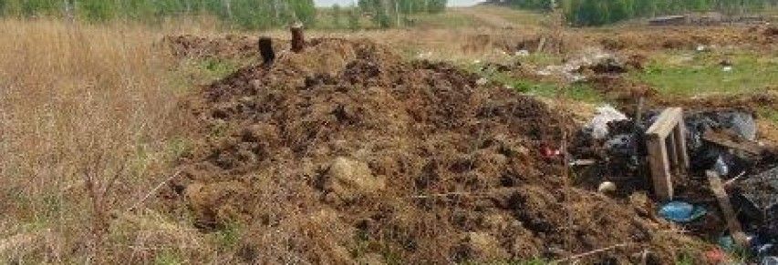 Опасную свалку обнаружили на сельхозпредприятии Карелии