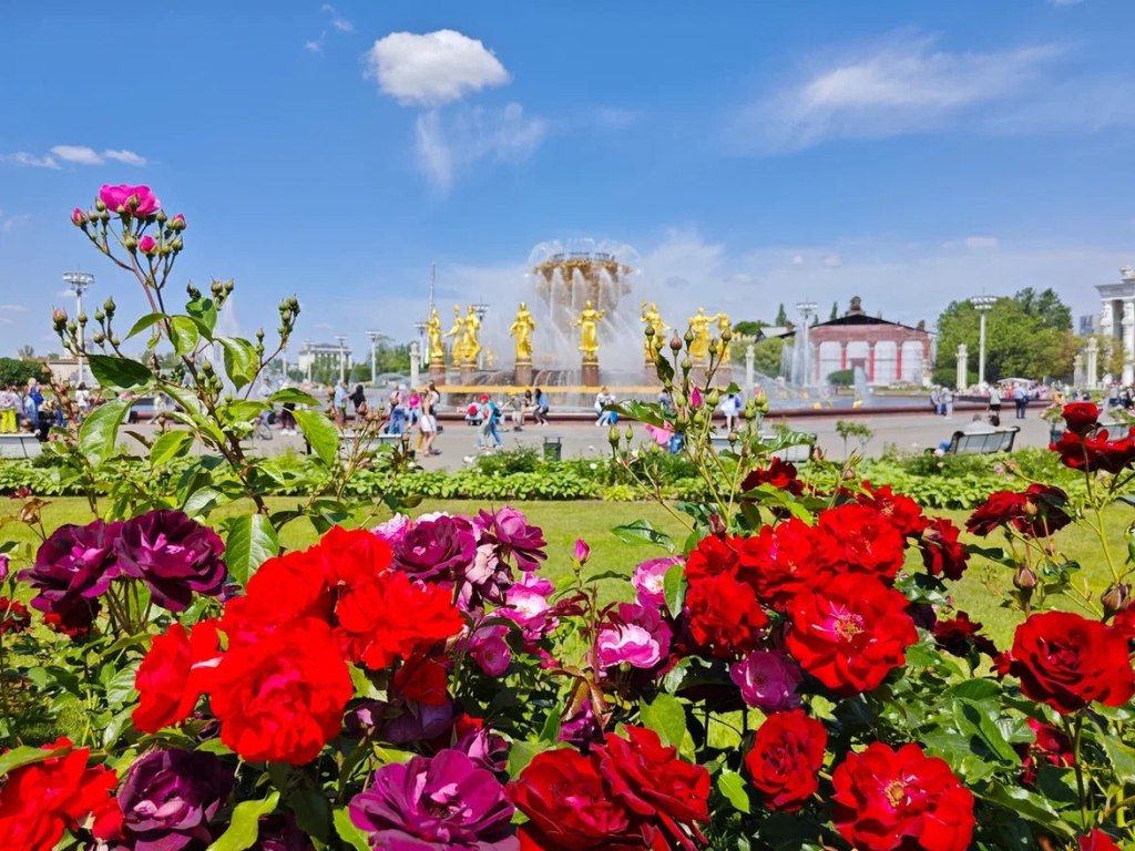 Карелия готовится к участию в Международной выставке-форуме «Россия» Карелия готовится к участию в Международной выставке-форуме «Россия»
