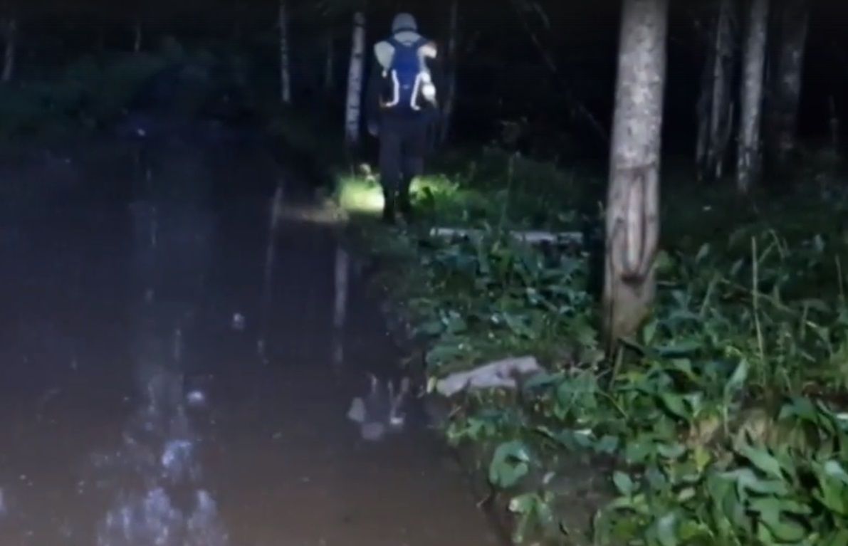 В Прионежском районе поисковики всю ночь искали заблудившихся грибников