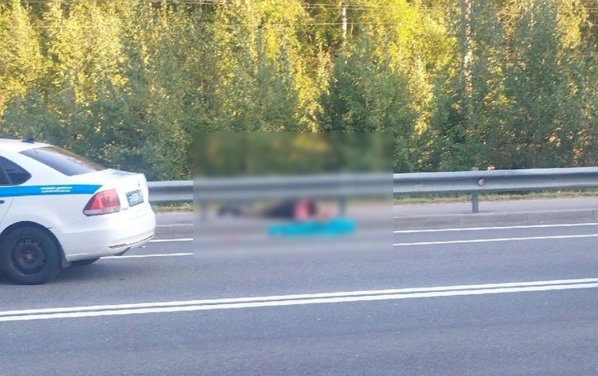 На трассе «Сортавала» насмерть сбили восьмилетнего ребенка