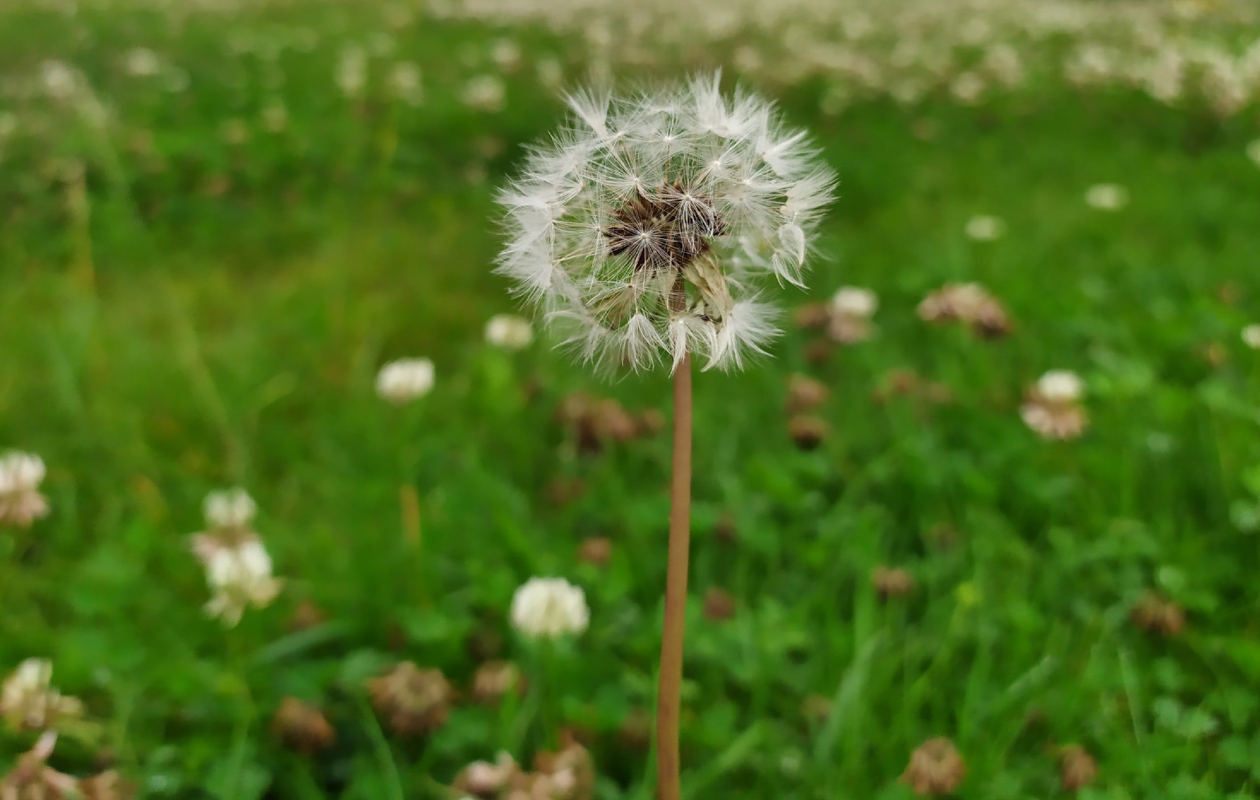 Суббота будет жаркой, но кратковременные дожди возможны. Прогноз погоды на 5 августа