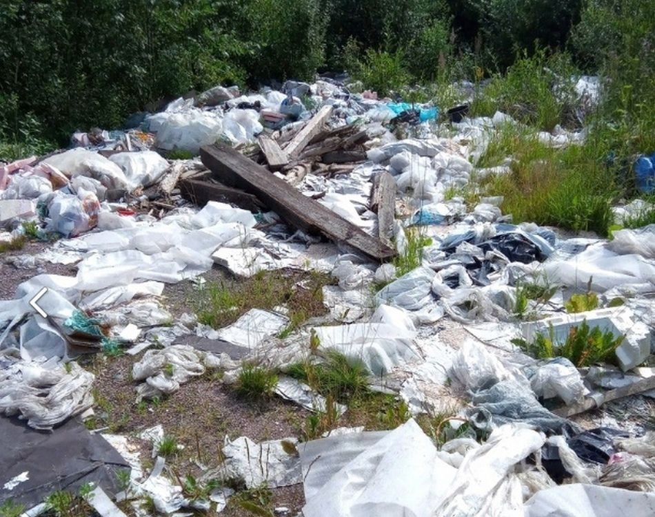 В лесу в Сортавальском районе обнаружили мусорную свалку