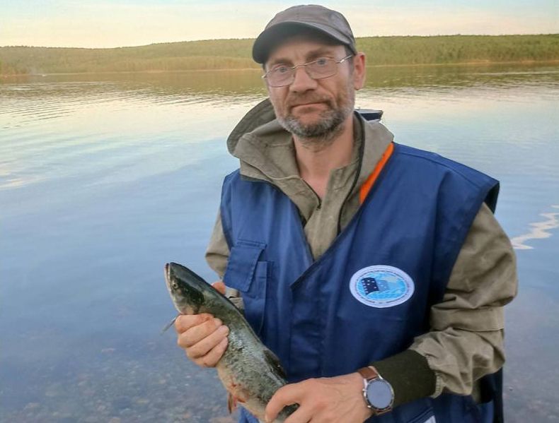 Ученые рассказали, сколько горбуши пришло из Белого моря в карельские реки