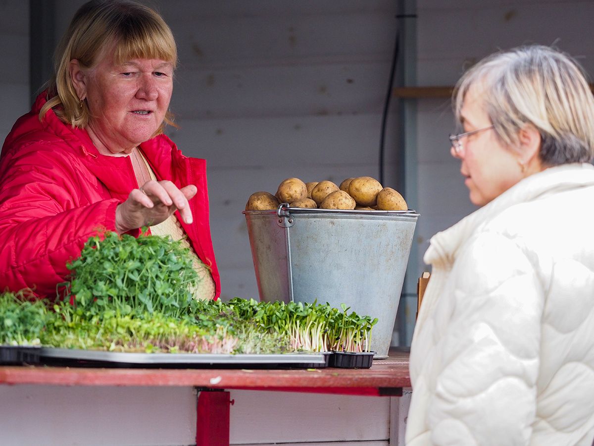 В Петрозаводске на площади Кирова открылась сельскохозяйственная ярмарка