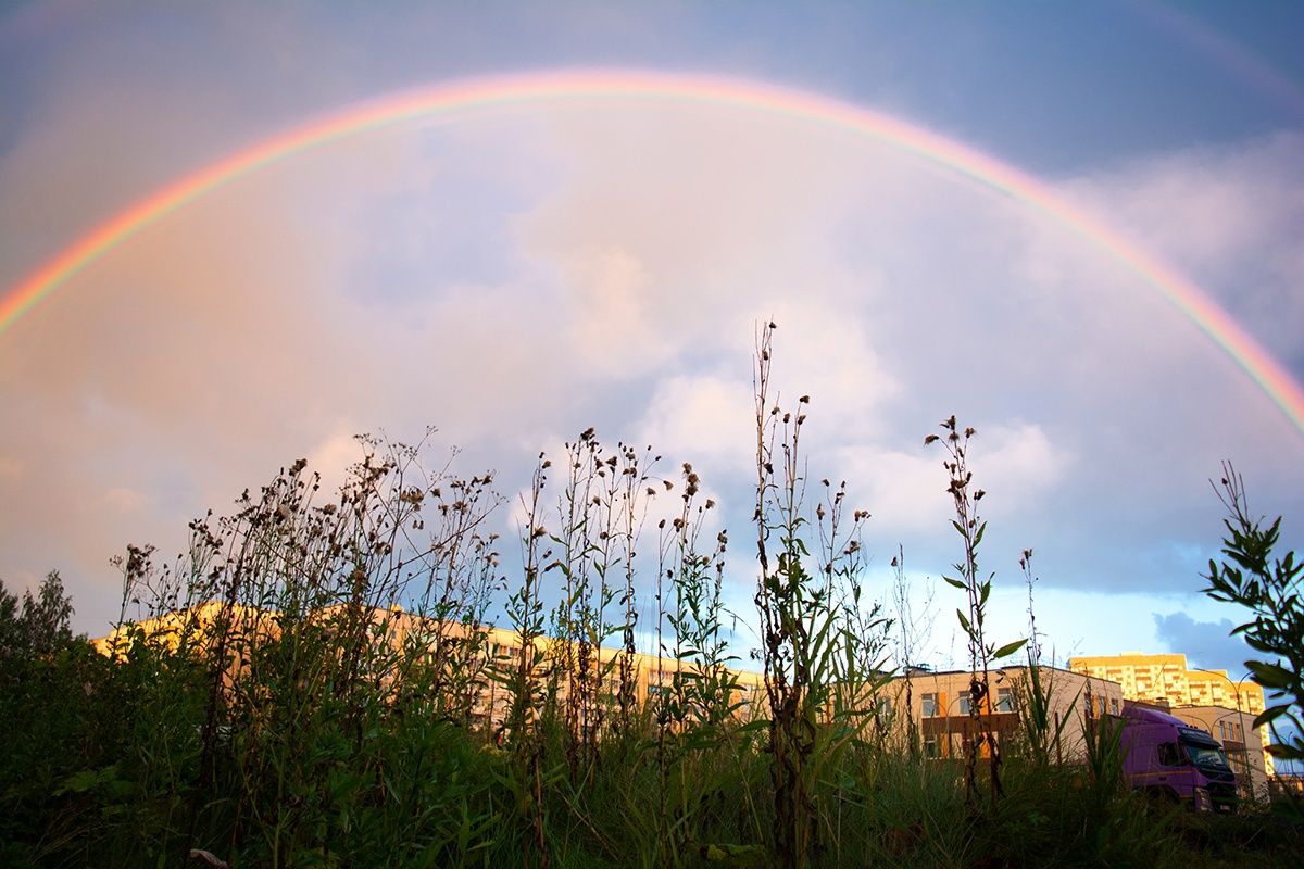 В Карелии ожидаются сильные дожди