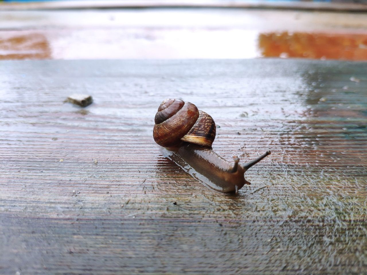 Лето продолжается. Прогноз погоды в Карелии на 12 сентября