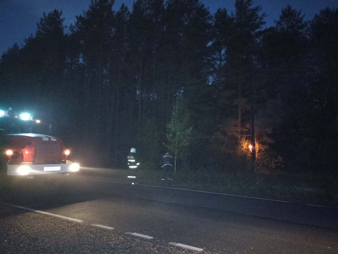 Около дороги в Карелии загорелся столб линии электропередач