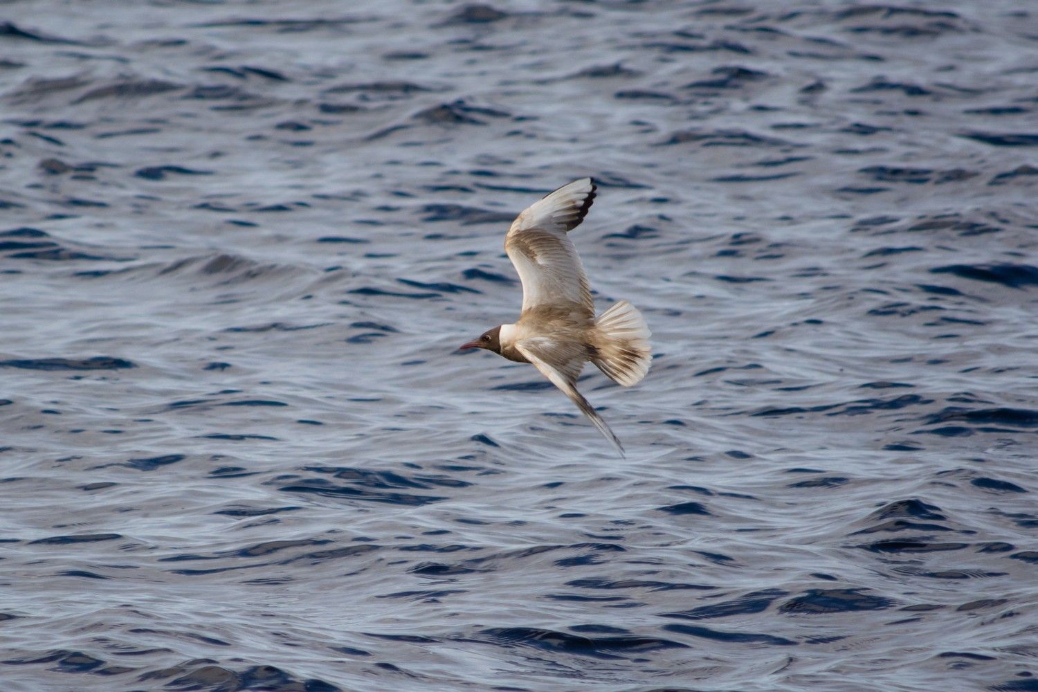 Теплая суббота ждет жителей Карелии. Прогноз погоды на 9 сентября