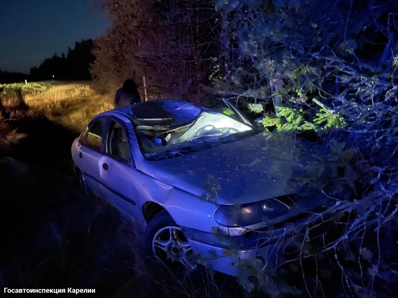 На трассе «Кола» автомобиль сбил лося и вылетел в кювет