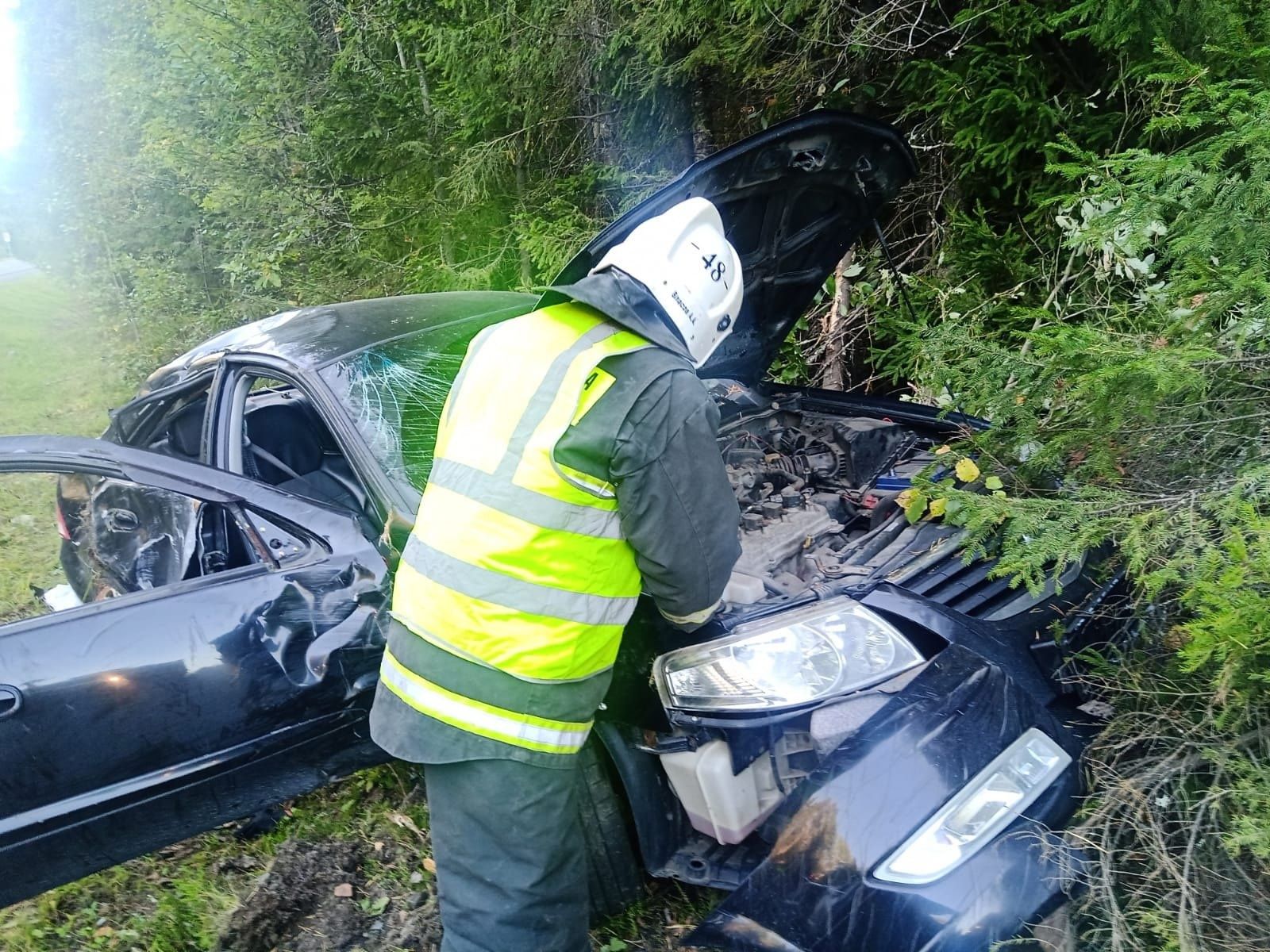 В Пряжинском районе легковой автомобиль вылетел в кювет