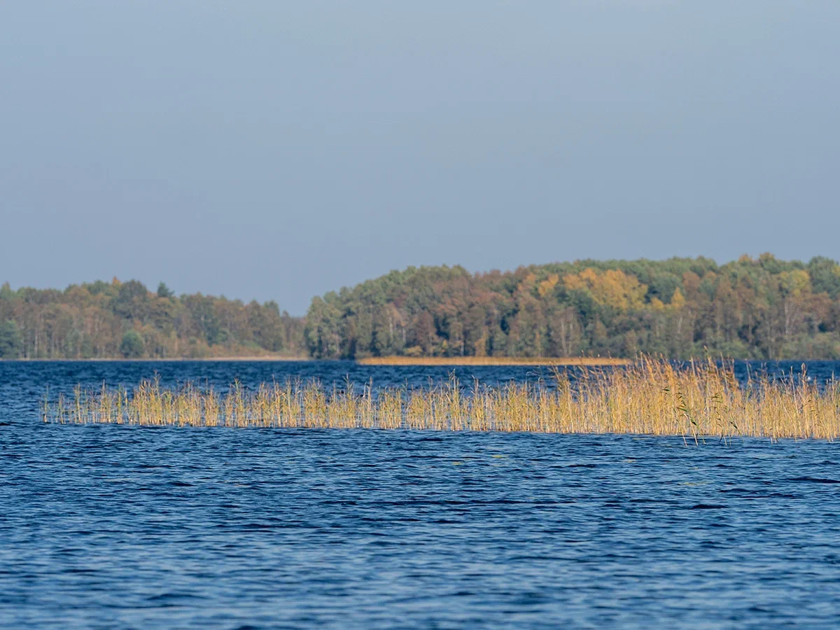 Бабье лето? Прогноз погоды в Карелии на 27 сентября