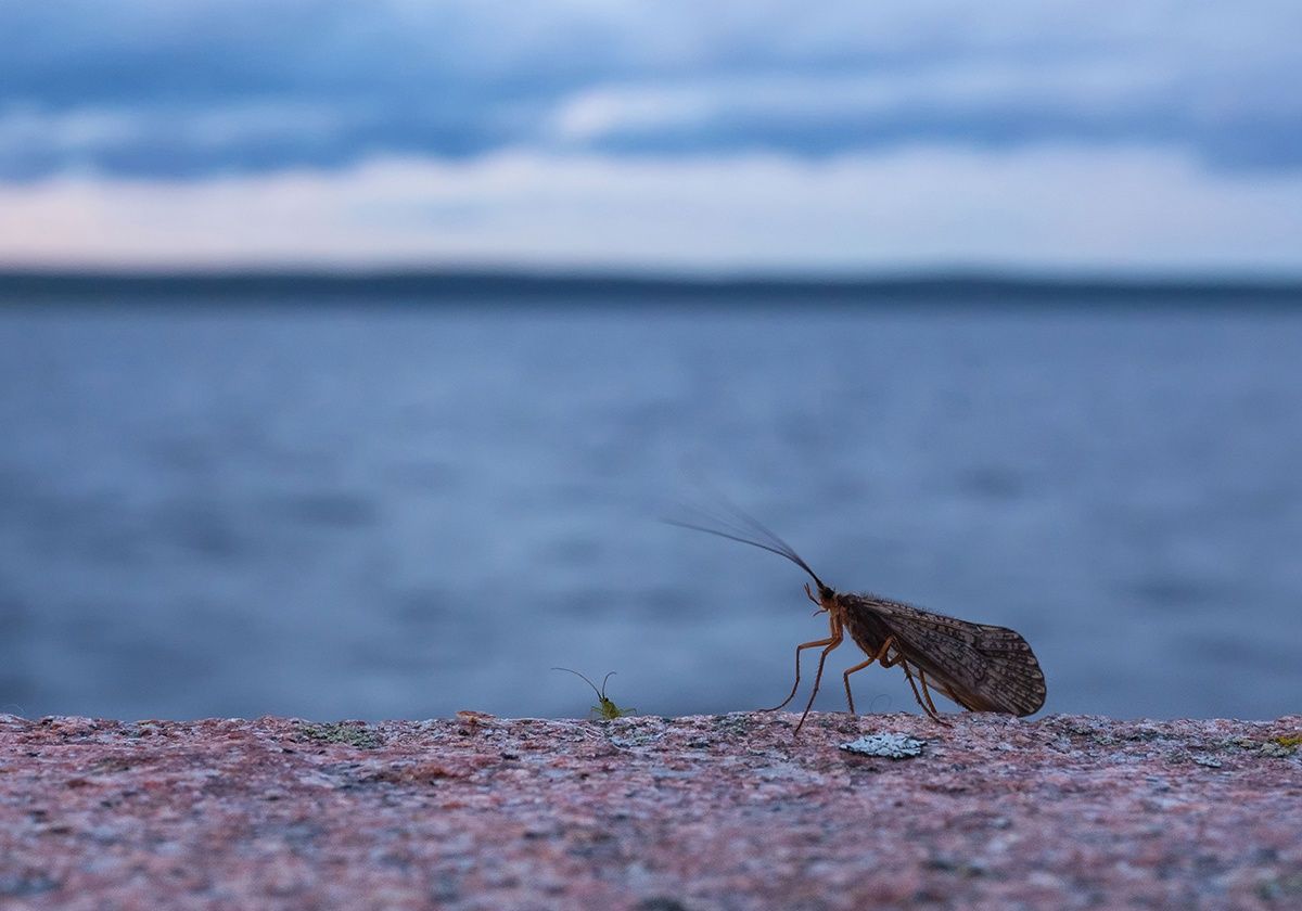 В понедельник в Карелии похолодает. Прогноз погоды на 18 сентября