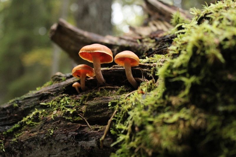 Тепло задержится: прогноз погоды на 2 сентября