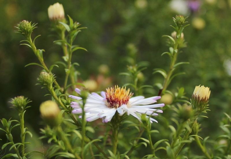 Тепло задержится: прогноз погоды на 10 сентября