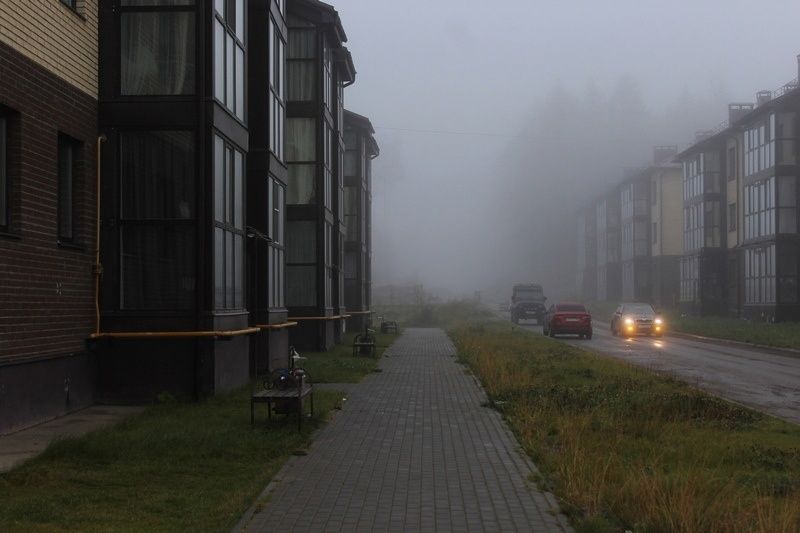 Туман и ночные заморозки: прогноз погоды на 8 сентября