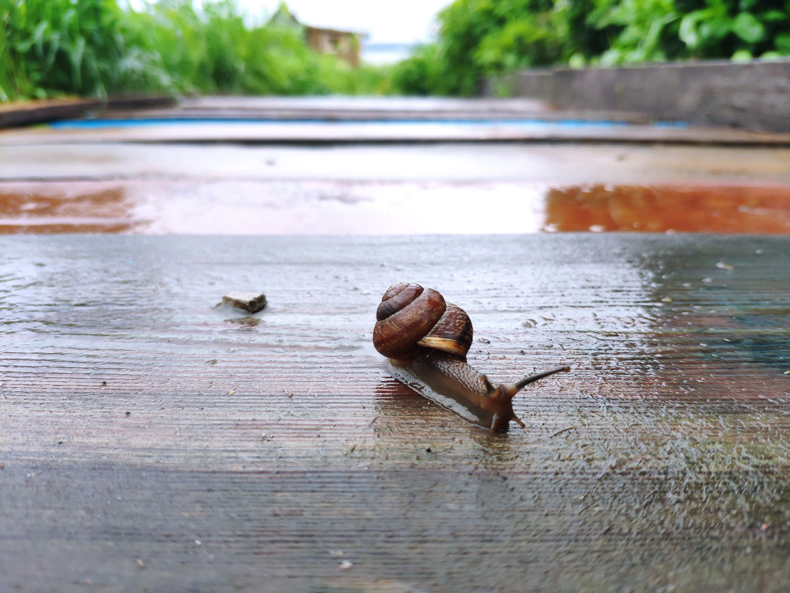 Днем до +22. Прогноз погоды в Карелии на 22 сентября