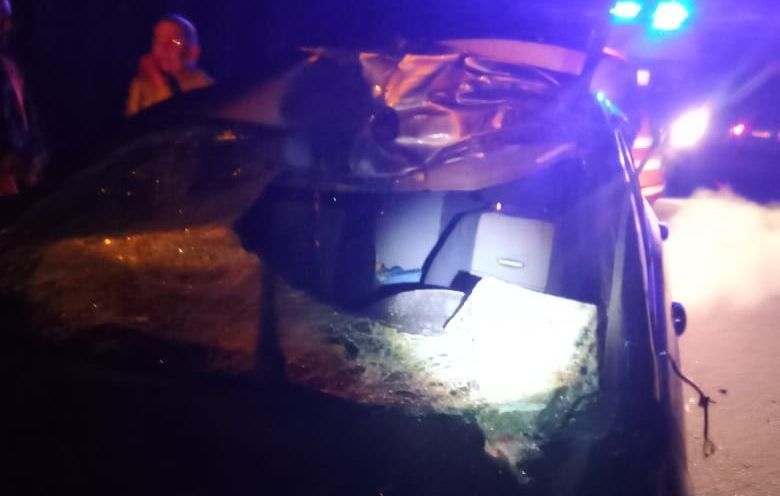 В столкновении автомобиля с лосем на севере Карелии пострадал человек В столкновении автомобиля с лосем на севере Карелии пострадал человек