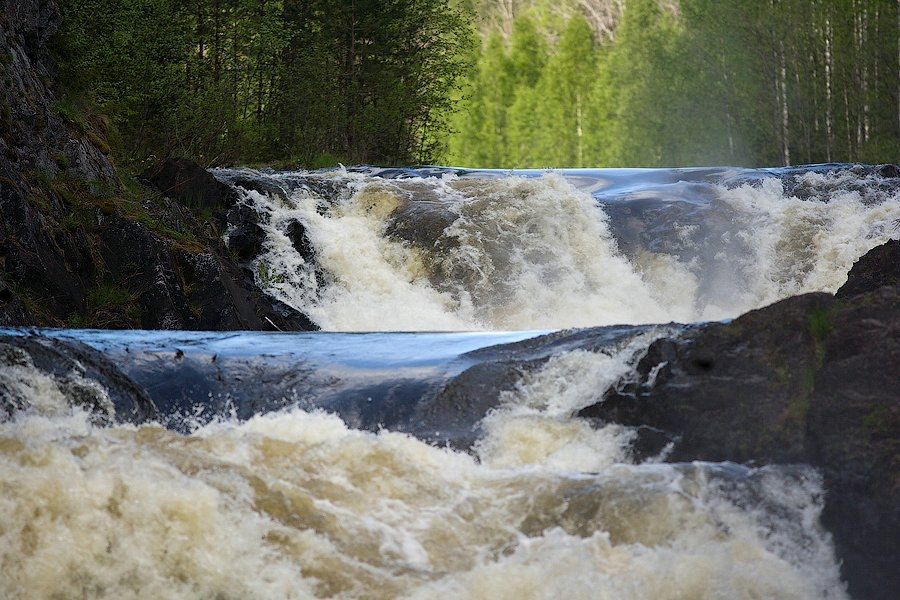Карельский заповедник попал в десятку популярных особо охраняемых территорий