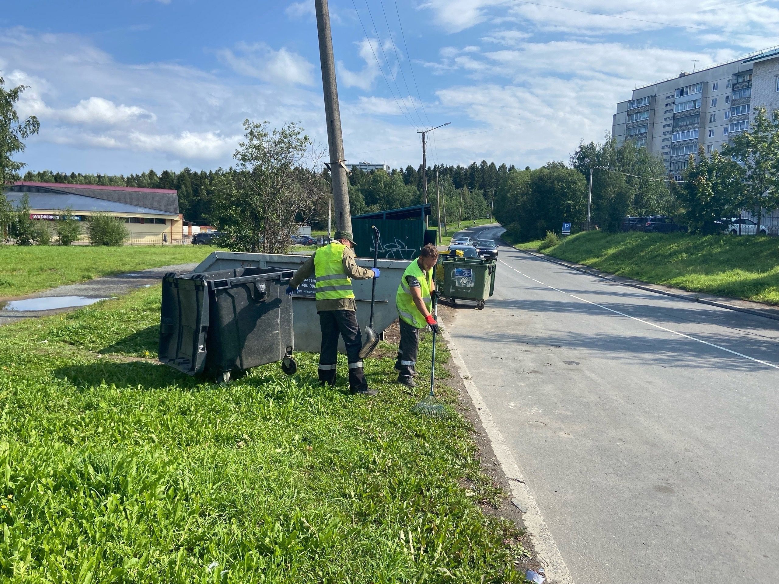 60 владельцев контейнерных площадок в Петрозаводске отказались участвовать в травле крыс