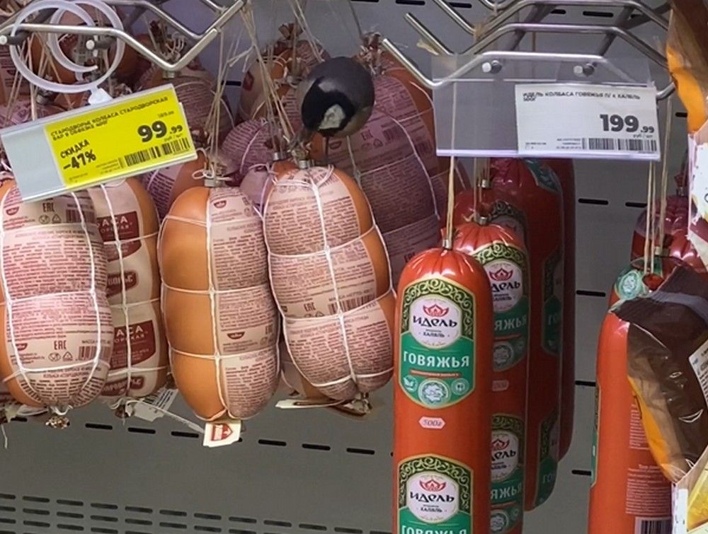 Петрозаводчане сняли синицу, которая решила полакомиться колбасой в магазине