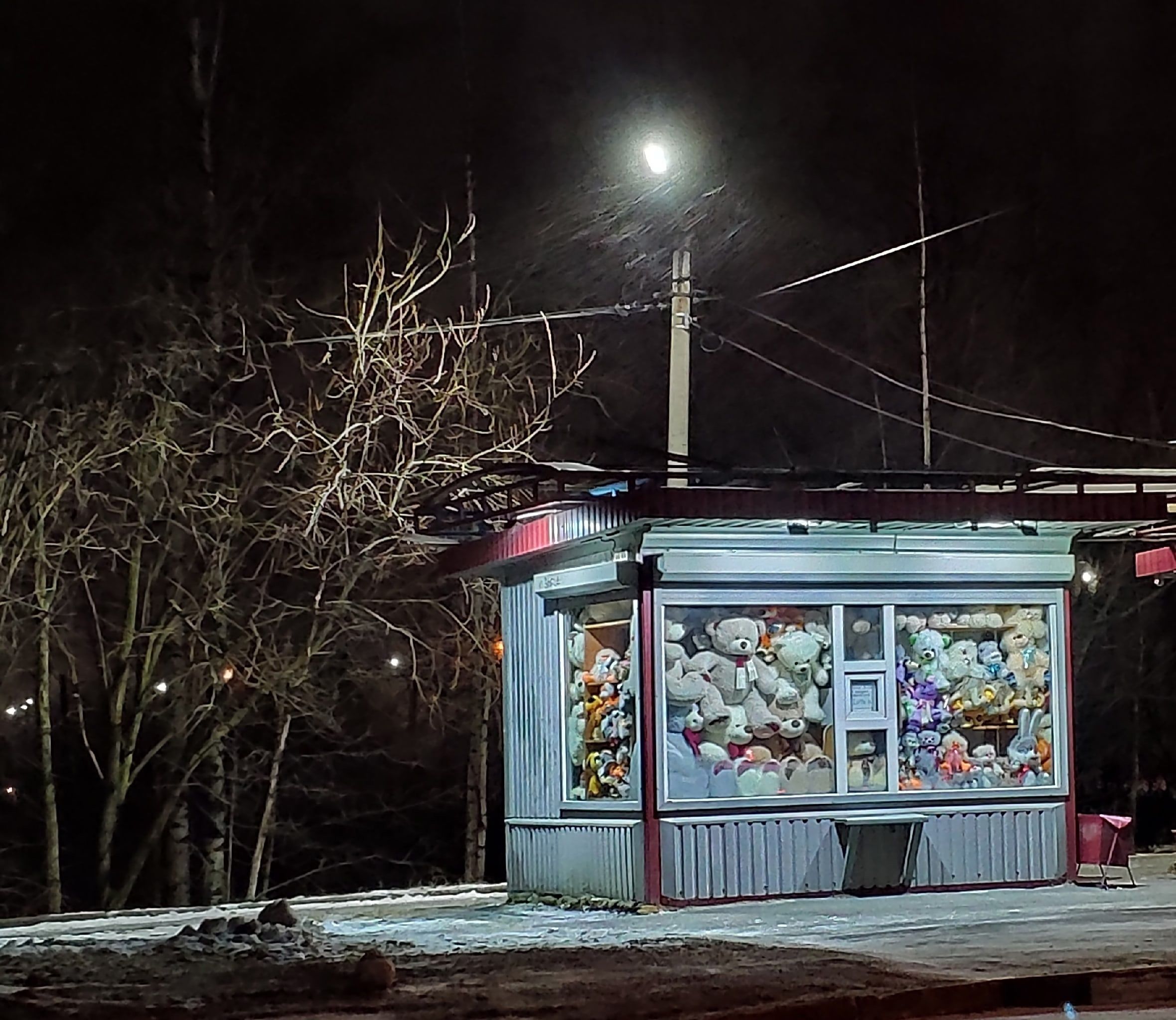 Петрозаводчанин  украл из киоска розы и мягкого медвежонка для подруги