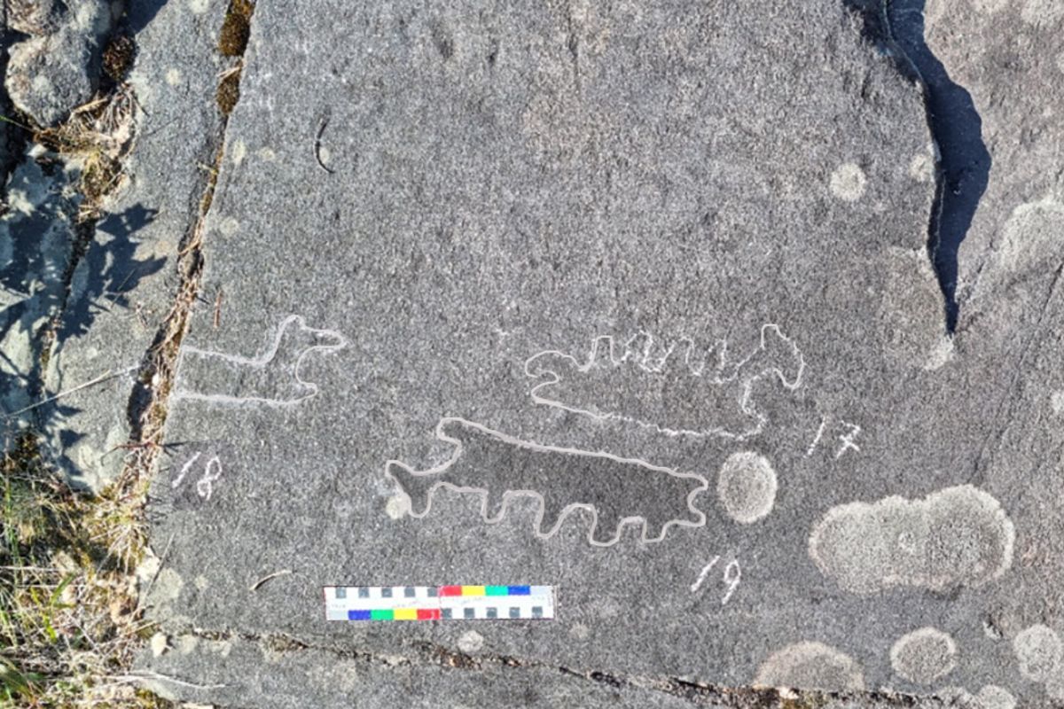 Новое наскальное изображение обнаружили карельские ученые на территории Беломорских петроглифов