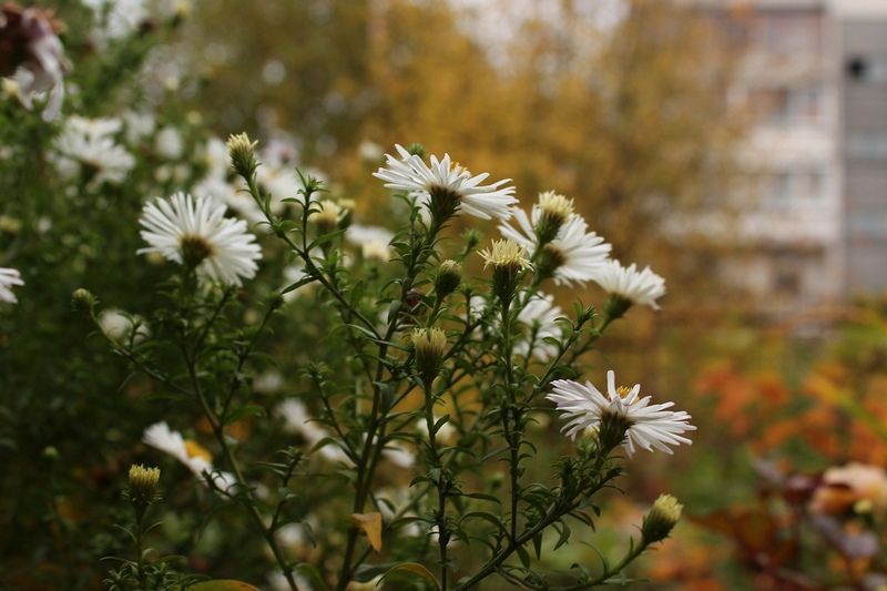 Карельский город неожиданно попал в один рейтинг с черноморскими курортами