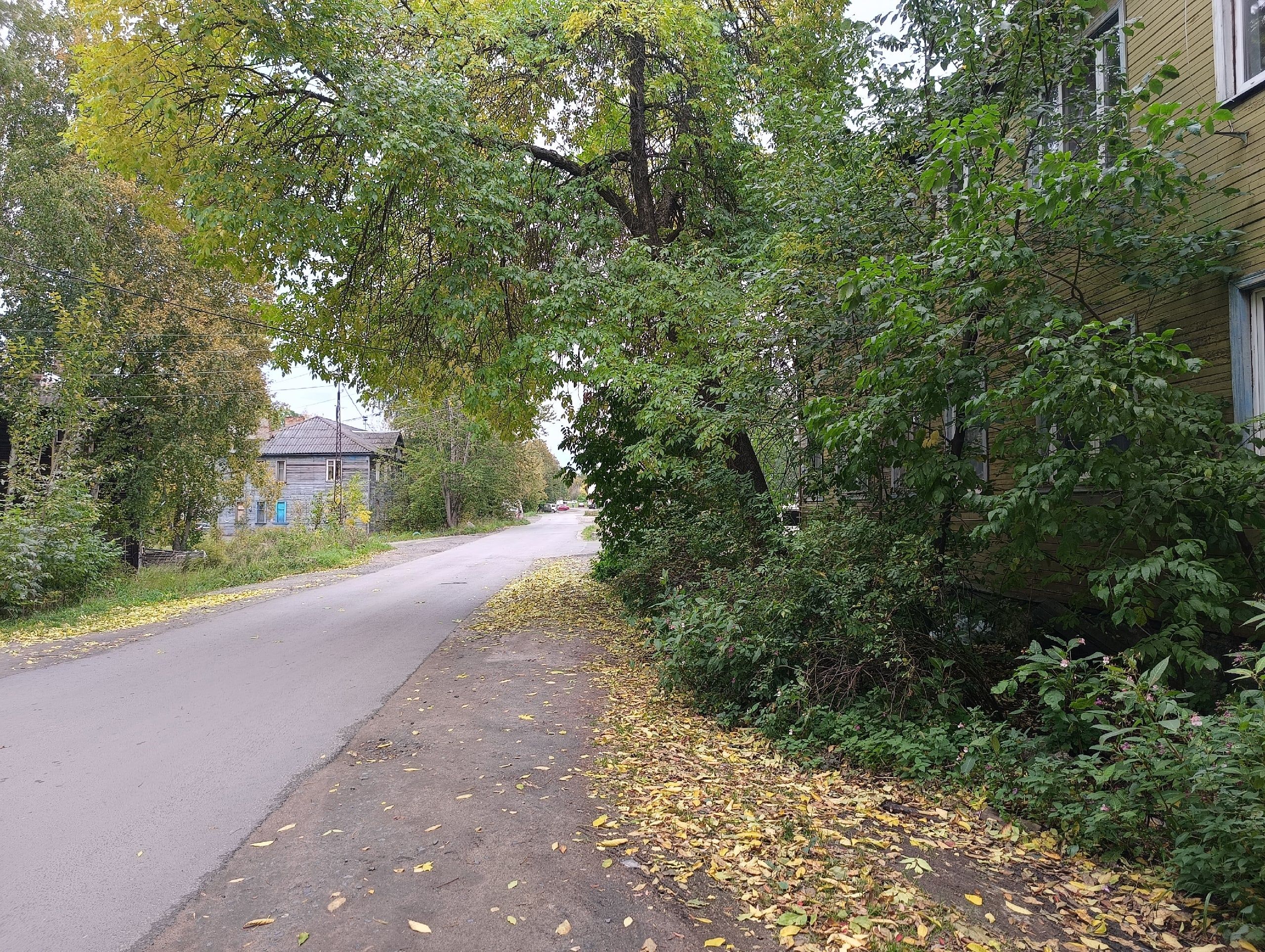 А ждать ли дождь? Прогноз погоды в Карелии на 30 сентября