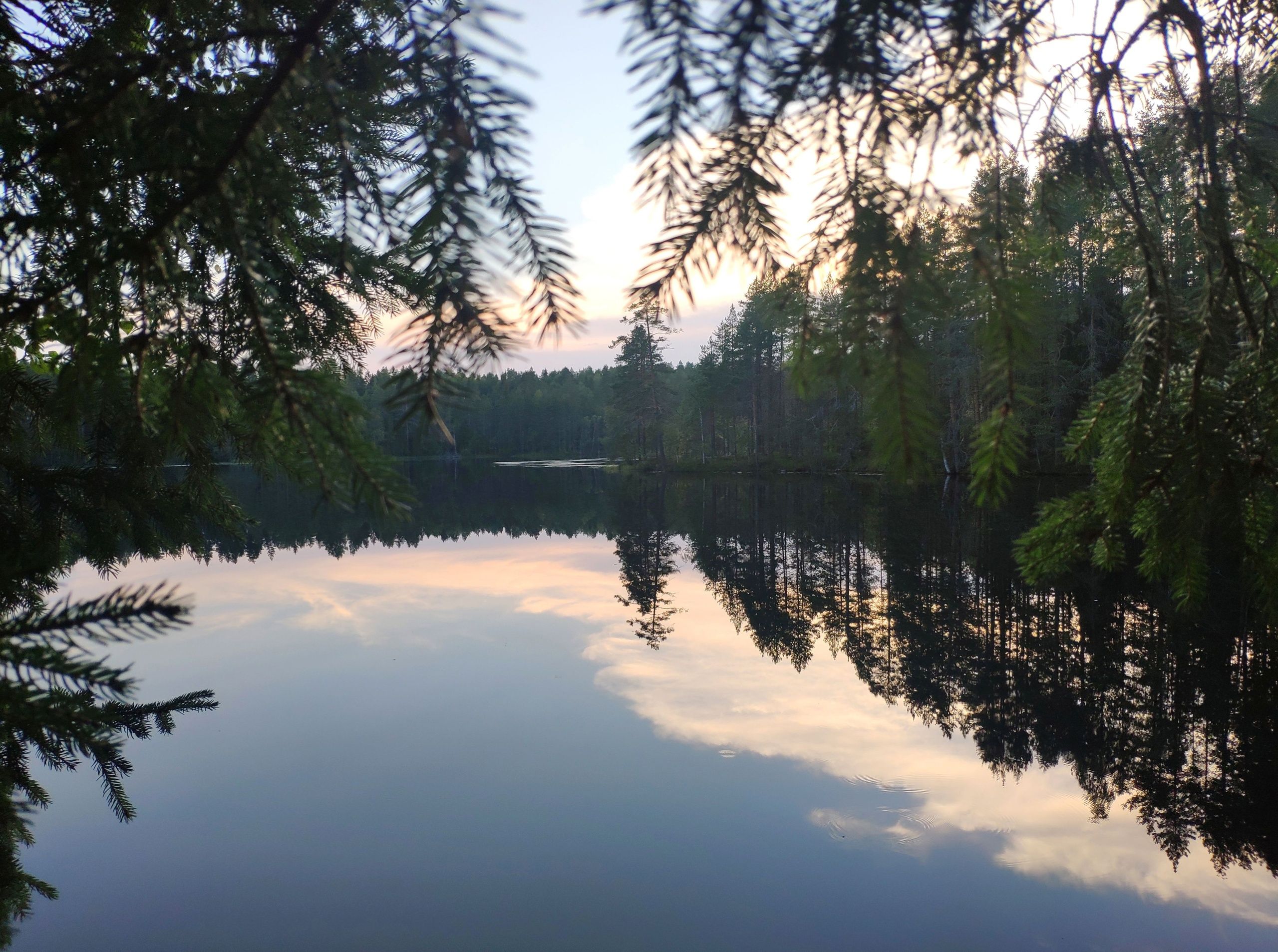 Тепло вернется: карельские синоптики сделали прогноз на неделю
