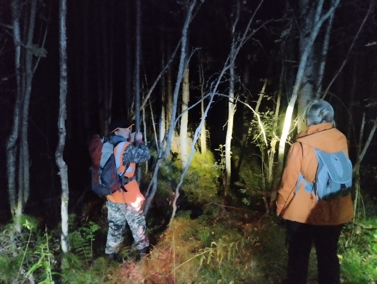 Волонтеры отряда \