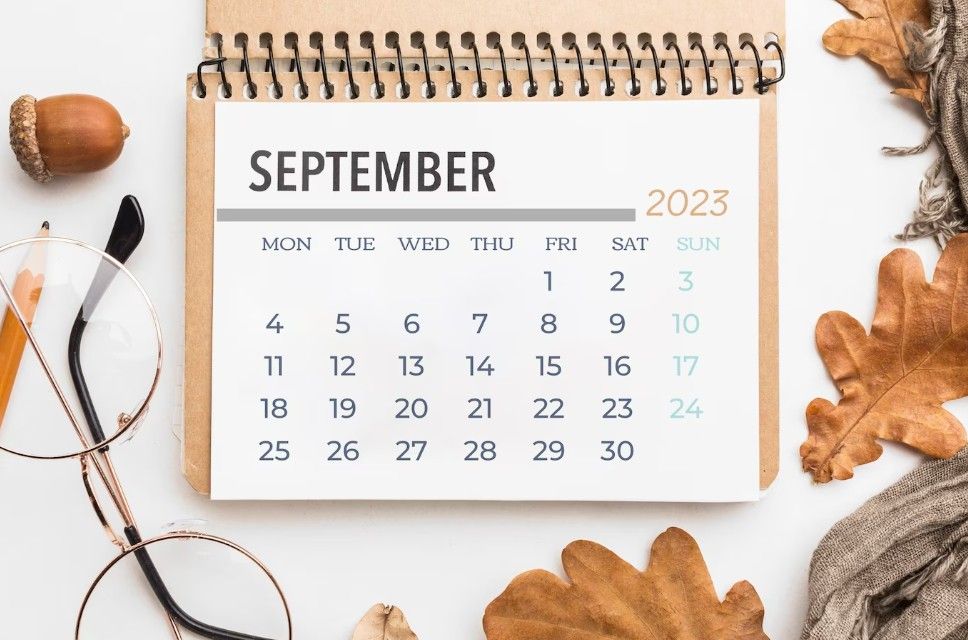 Новые предметы в школах, штрафы для водителей и повышение пенсии: что изменится в жизни россиян в сентябре