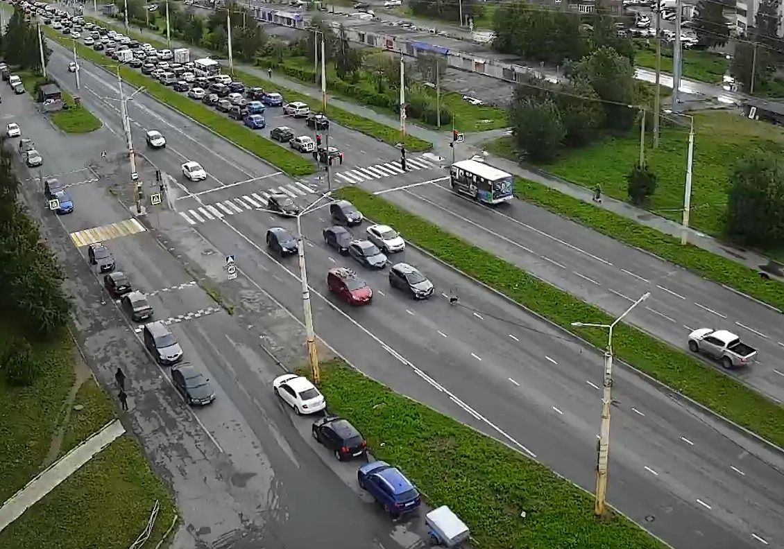 На Древлянке из-за собаки произошло групповое ДТП