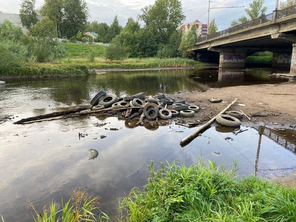 В Петрозаводске со дна Лососинки подняли три тонны покрышек