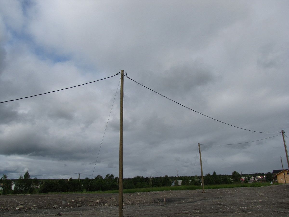 Из-за урагана в Карелии произошло более 50 отключений электричества