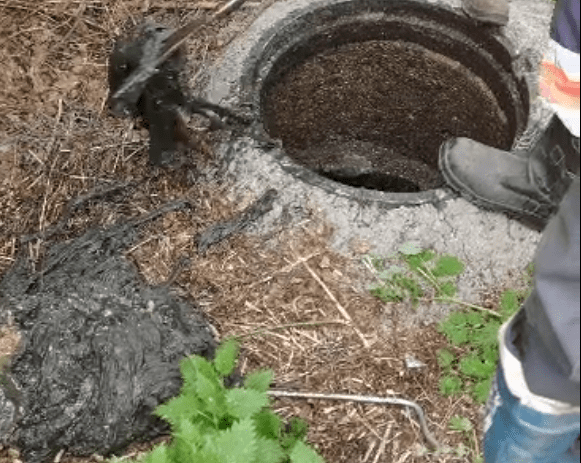 Пищевые отходы являются причиной засоров канализации в Петрозаводске