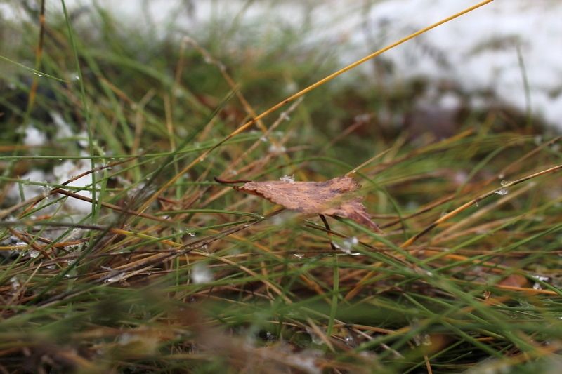 Утром местами гололедица: прогноз погоды на 6 октября