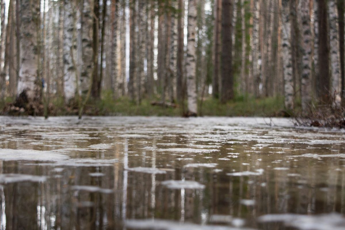Мокрый снег и дождь: прогноз погоды на 8 октября
