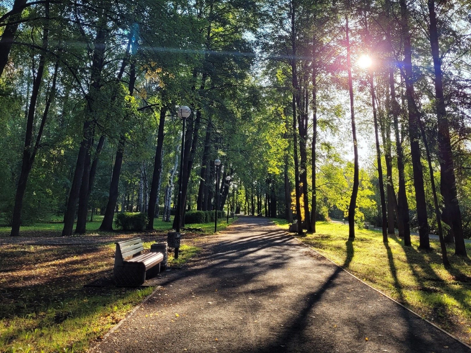 В Петрозаводске стартует спортивный проект «5 вёрст»